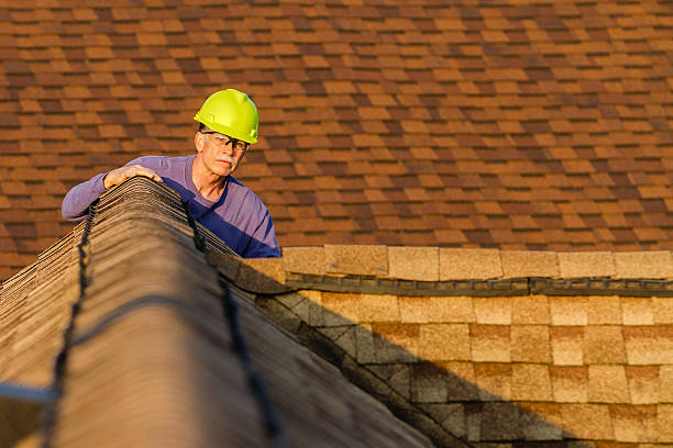 Best Roof Repair Services  in Mazomanie, WI